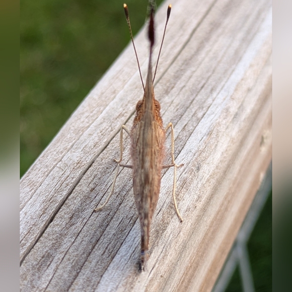 ♥️ - Picture 3 of 11